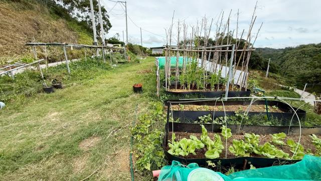 新竹寶山農地-1