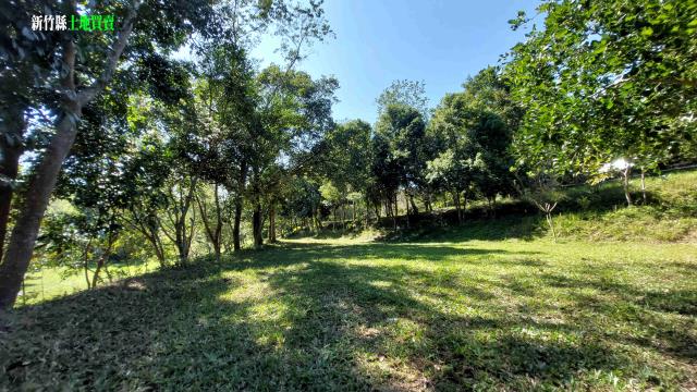 新竹關西農地-9