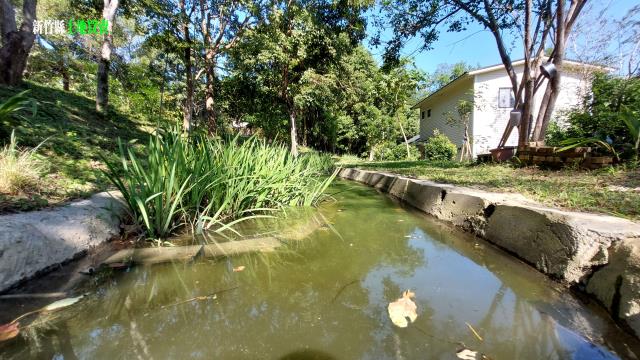 新竹關西農地-3