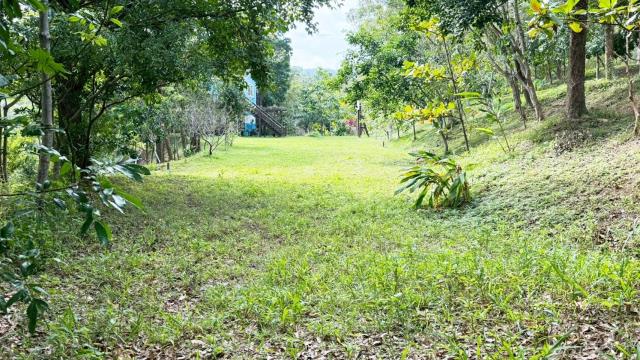 新竹關西農地-12