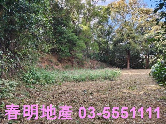 新竹關西農地-4