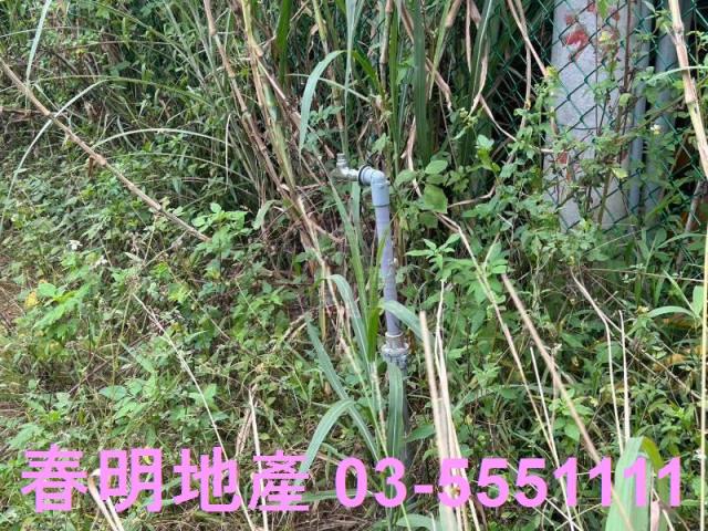 新竹峨眉農地-3