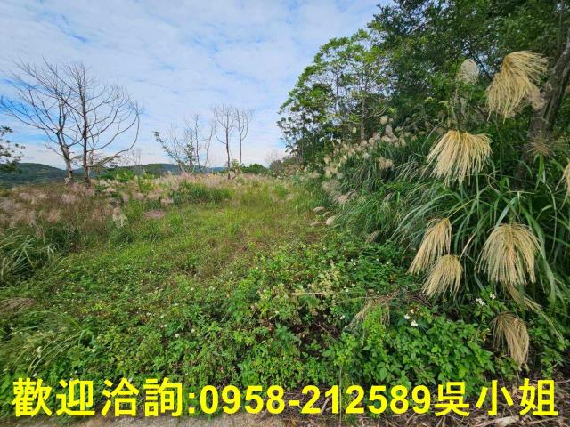 新埔農地-11