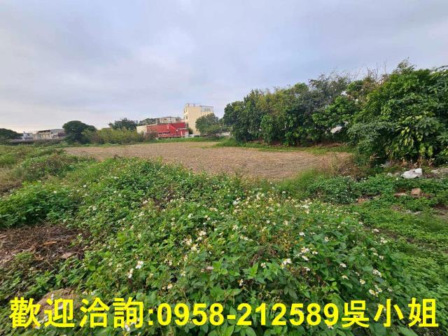 新竹湖口農地-11