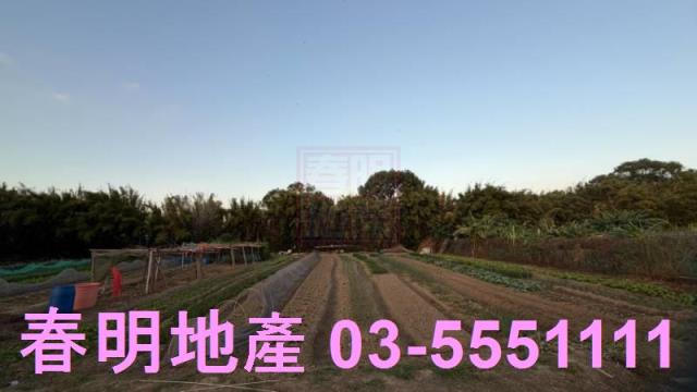 新竹竹東工業地-0