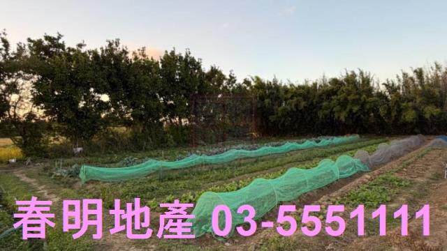 新竹竹東工業地-1