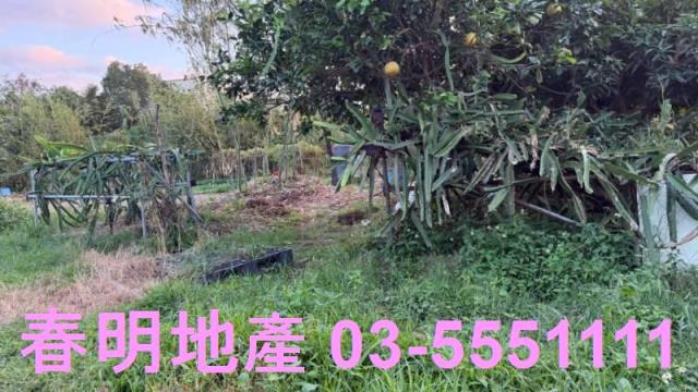 新竹竹東工業地-3