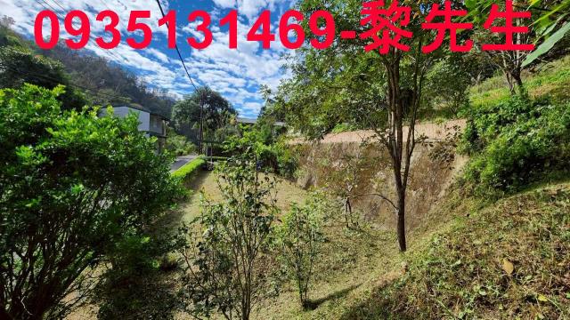 新竹北埔農地-2