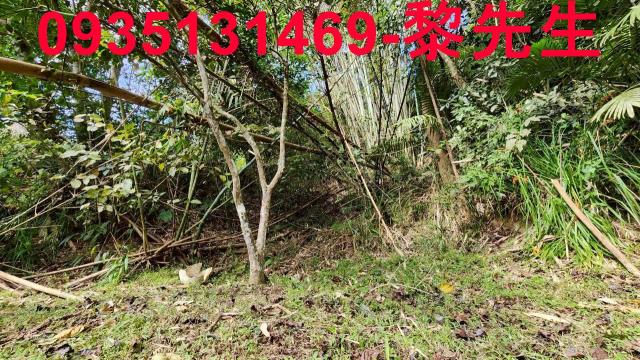 新竹北埔農地-3