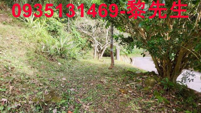 新竹北埔農地-6