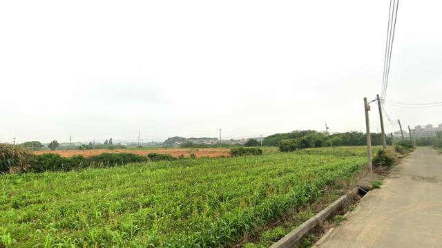 新竹新豐農地-2