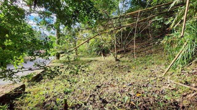 新竹北埔農地-6