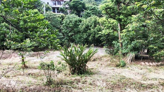 新竹關西農地-11