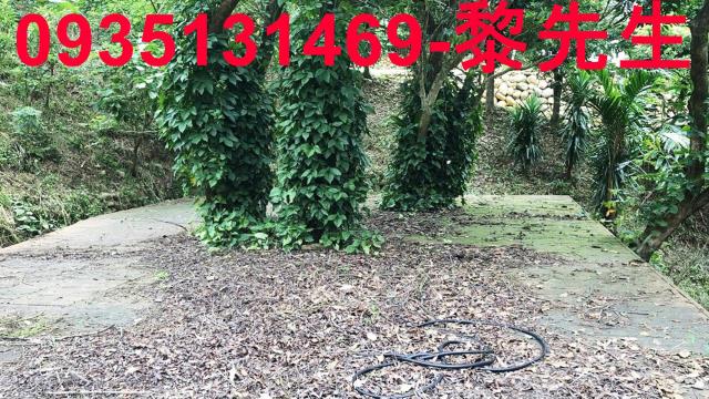 新竹關西農地-0