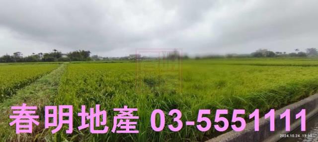 新竹新豐農地-4