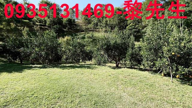 新竹峨眉農地-10