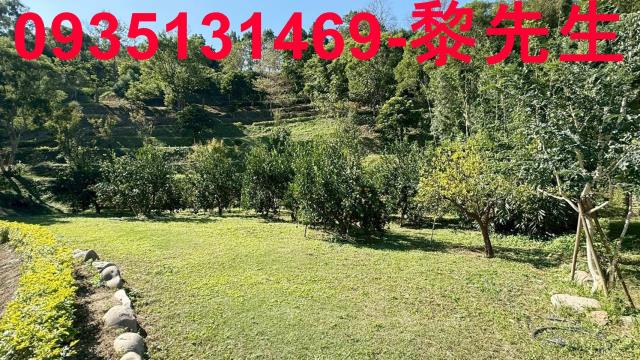 新竹峨眉農地-13