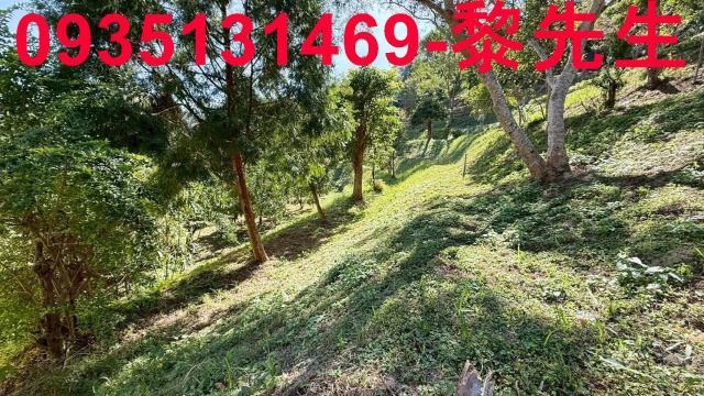 新竹峨眉農地-8