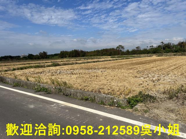 新竹新豐農地-11