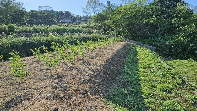 新竹北埔農地-1