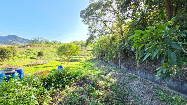 新竹北埔農地-3