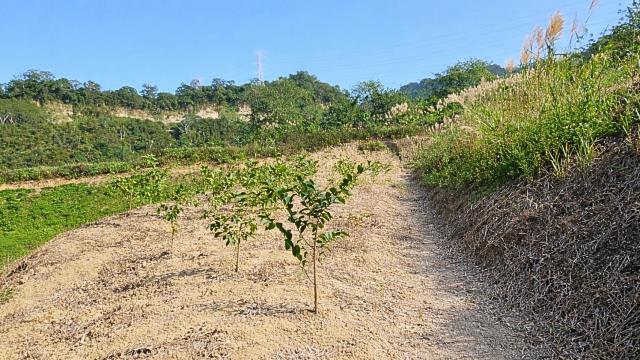 新竹北埔農地-6