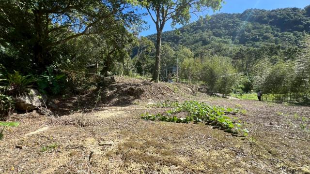 新竹尖石農地-11