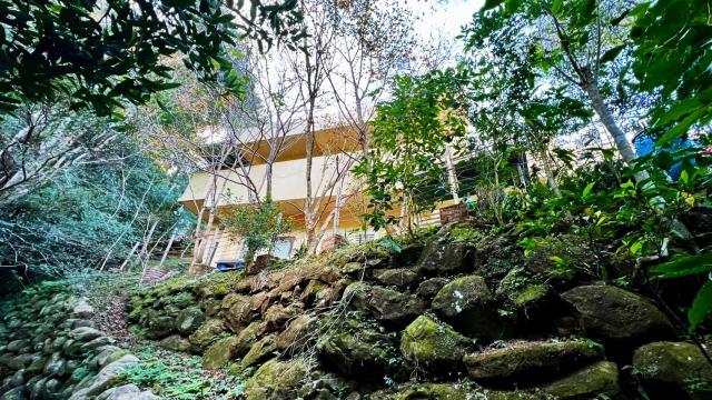 新竹尖石農地-1