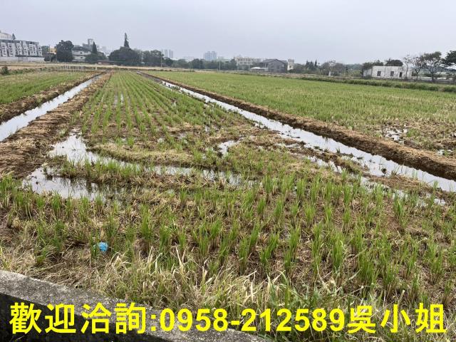湖口農地-9