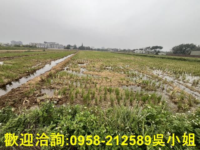 湖口農地-0