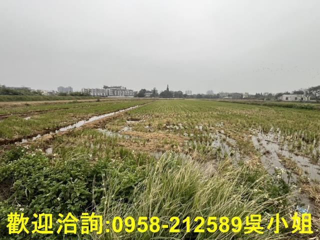 湖口農地-3