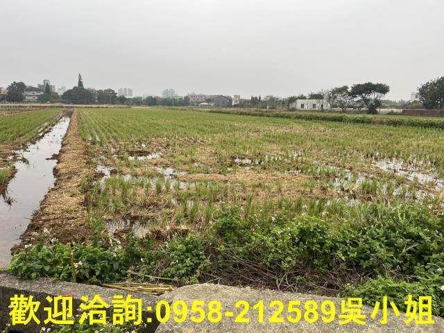 湖口農地-5