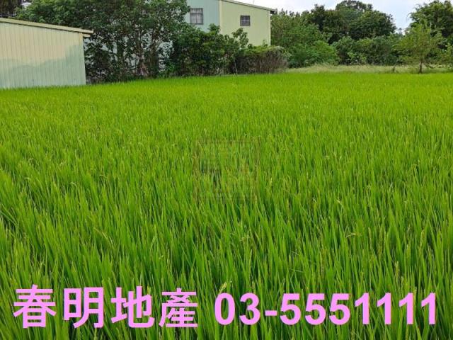 竹北農地-6