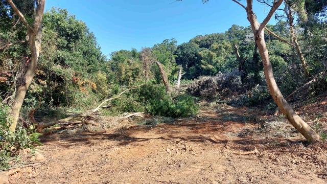 新竹新埔農地-6