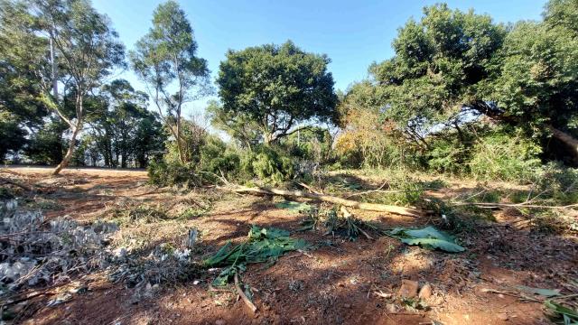 新竹新埔農地-0