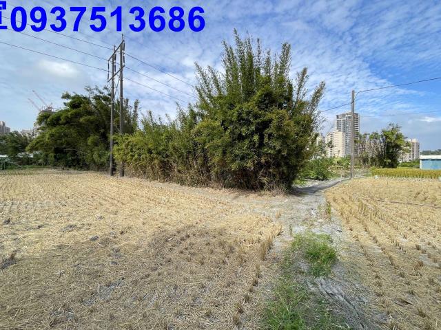 新竹竹北農地-0