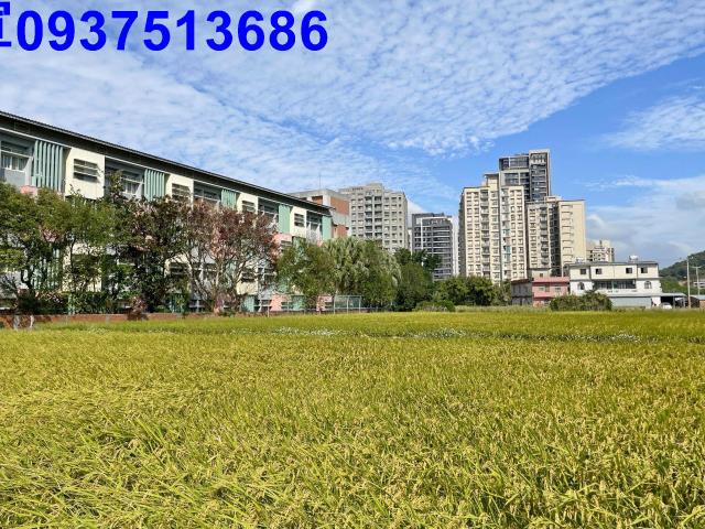 新竹竹北農地-2