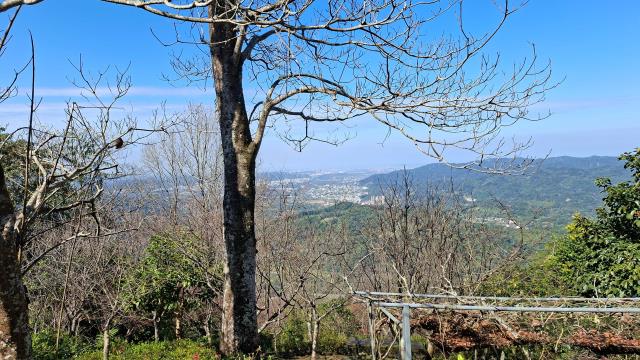 新竹橫山農地-8