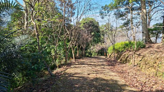 新竹橫山農地-9