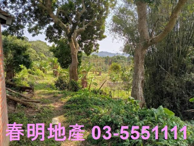 新竹竹東農地-0