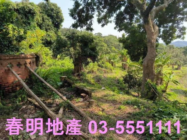 新竹竹東農地-1