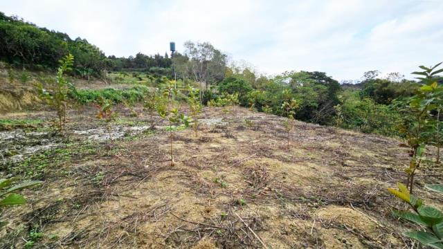 新竹北埔農地-5