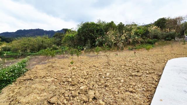 新竹北埔農地-6