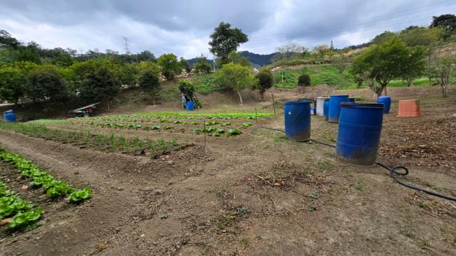 新竹北埔農地-5