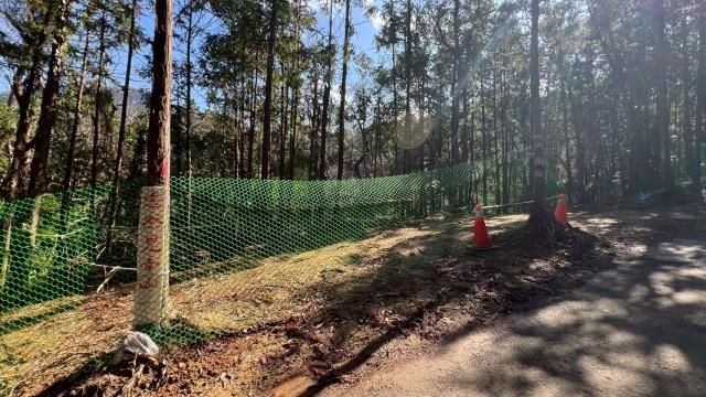 新竹竹東農地-10