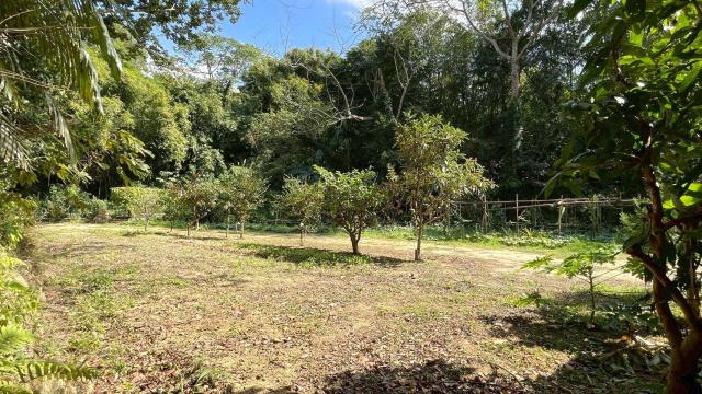 新竹峨眉農地-11