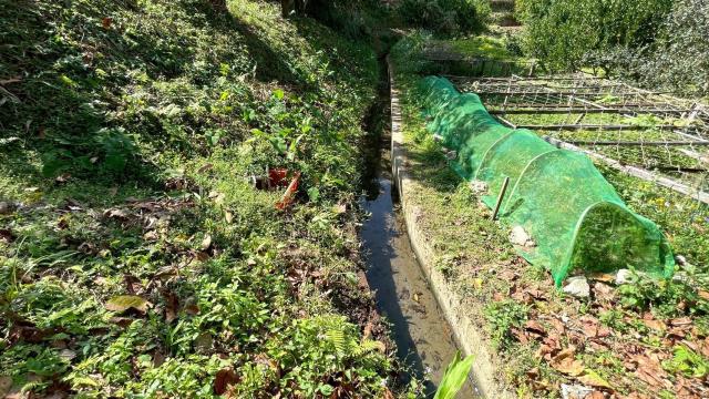 新竹峨眉農地-9