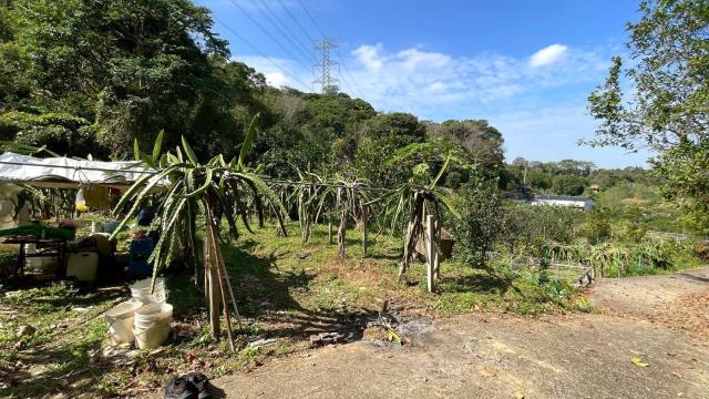 新竹峨眉農地-10