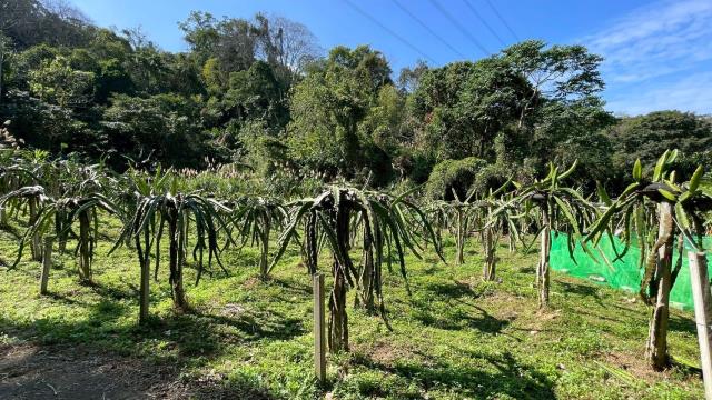 新竹峨眉農地-0