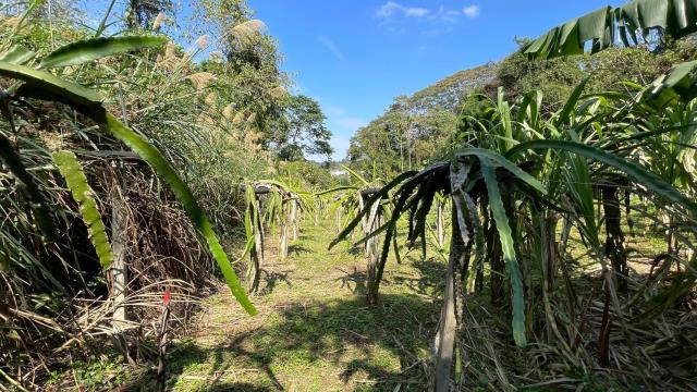 新竹峨眉農地-5
